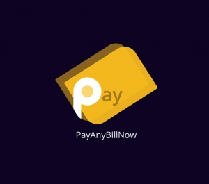 pay any bill now
